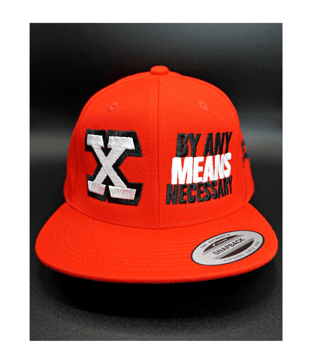 Malcolm X, By Any Means Necessary - Embroidered, Flat-Bill, Classic, Snap-Back Cap. ONE SIZE