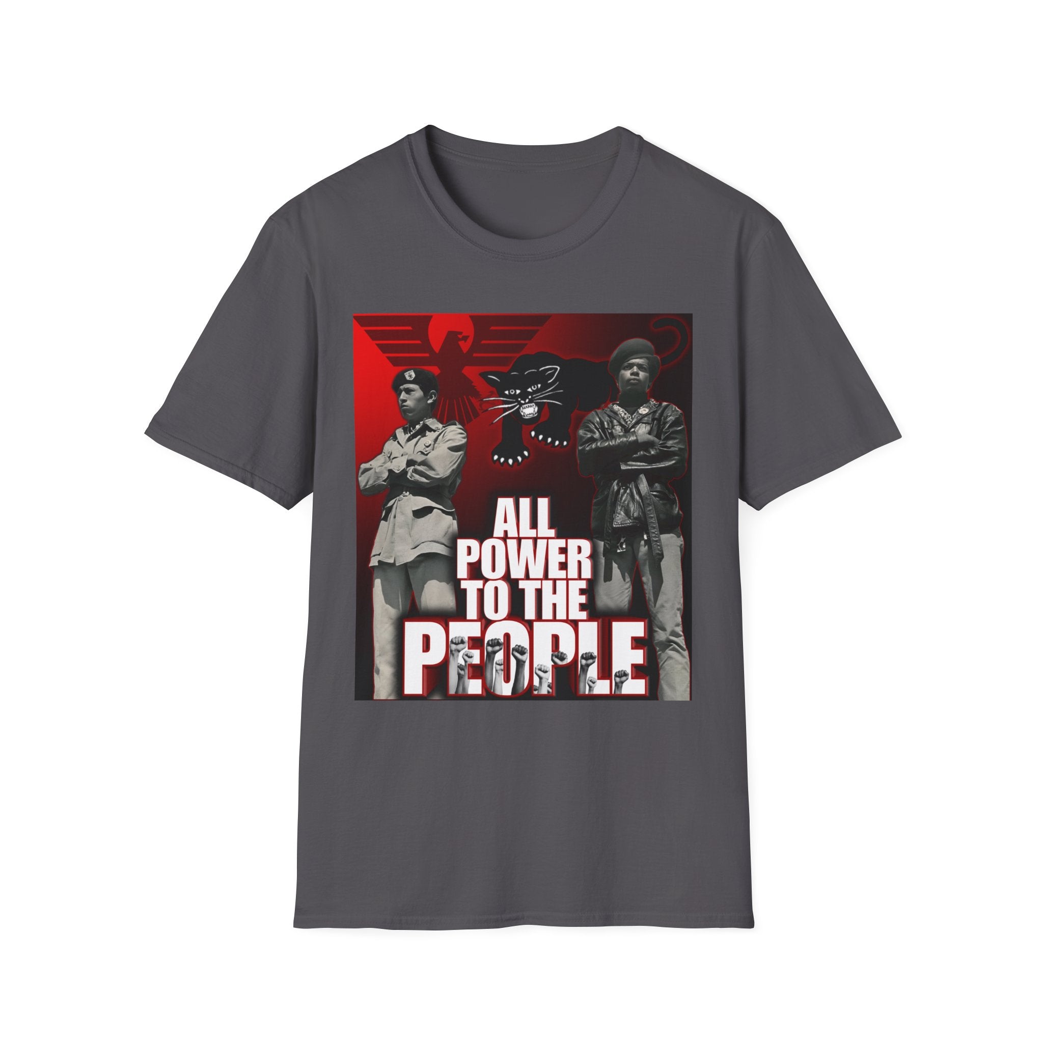 All Power to the People Shirt - Black Panthers & Brown Berets Solidarity Tee - Black & Indigenous Owned